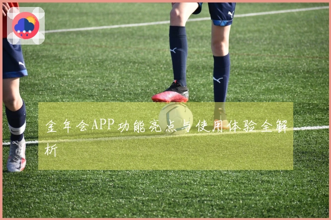 金年会APP功能亮点与使用体验全解析